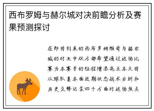 西布罗姆与赫尔城对决前瞻分析及赛果预测探讨