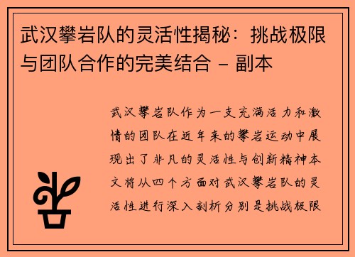 武汉攀岩队的灵活性揭秘：挑战极限与团队合作的完美结合 - 副本